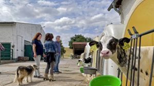 Wenig Anerkennung für Milchbauern