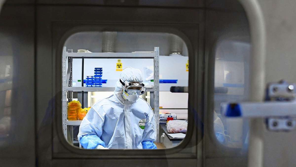 Ursprung des Coronavirus: Hamburger Physiker  glaubt an einen Laborunfall
