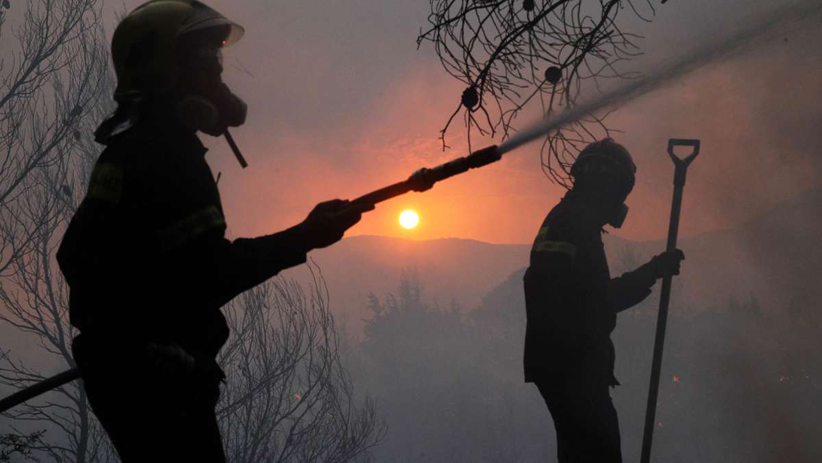 Brände in Griechenland: Feuersturm treibt Athener in die Flucht