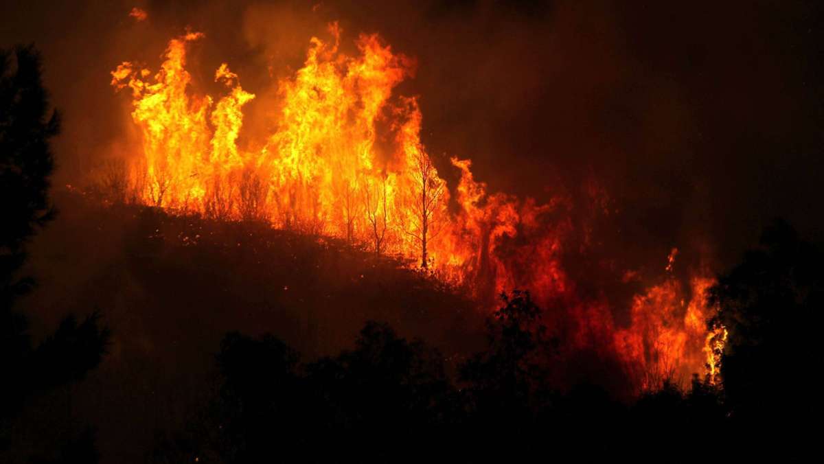 Hitzewelle in Südeuropa: Waldbrände in der Türkei und Zypern wüten weiter