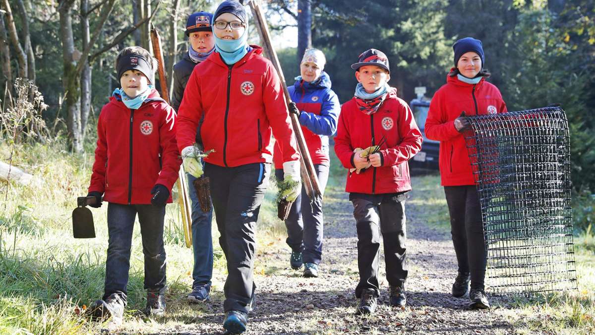Pflanzaktion in Oberhof: Junge Bergwachtler sind für den Wald im Einsatz