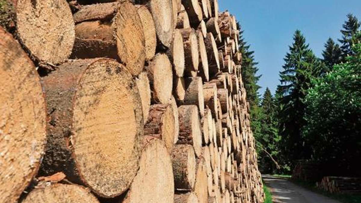 Suhl/ Zella-Mehlis: Diebe lassen in Suhl 17 Festmeter Holz mitgehen