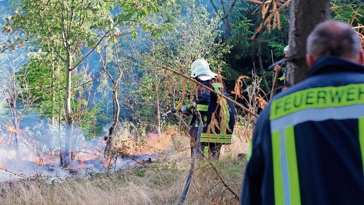 Thüringen: Waldeigentümer will Fichtenbrand mit Gießkannen löschen