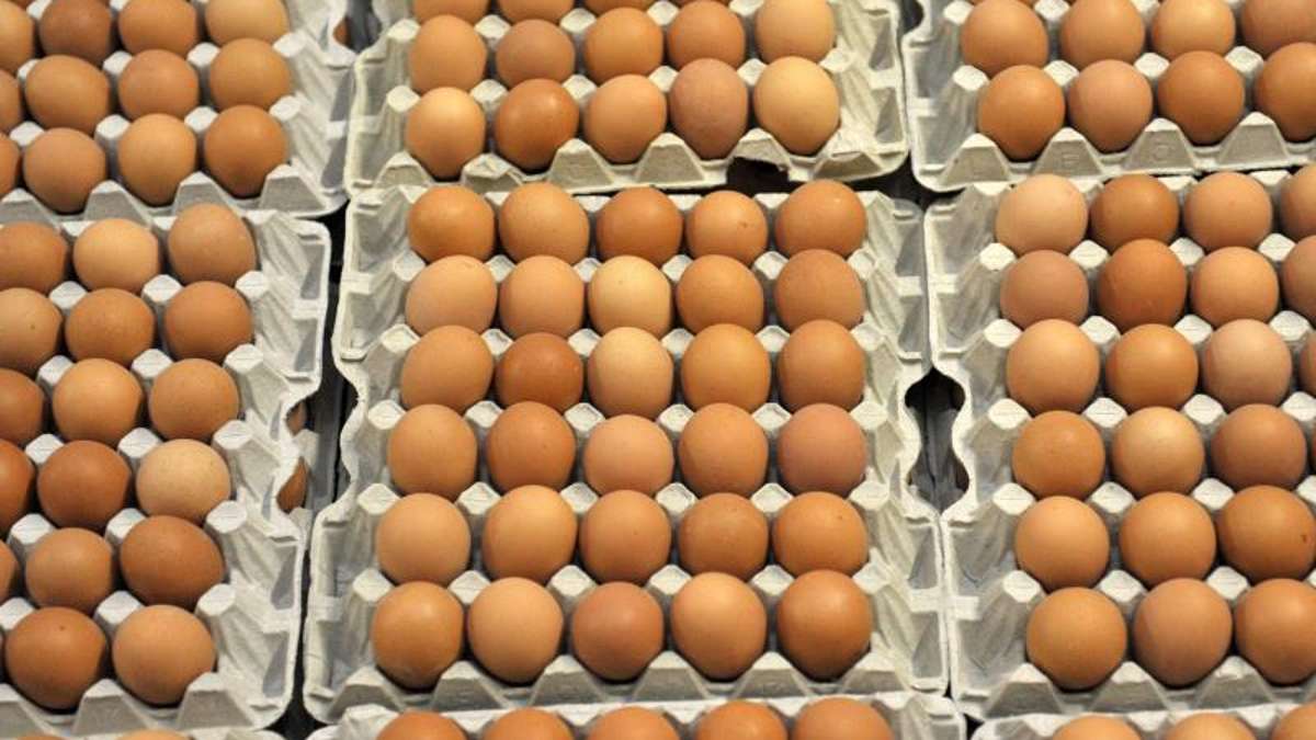 Bad Salzungen: Rhönland-Eier können bedenkenlos verzehrt werden