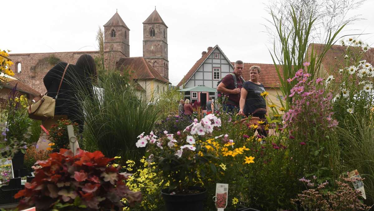 Gartenmarkt in Kloster Veßra: Premiere für Herbstzauber