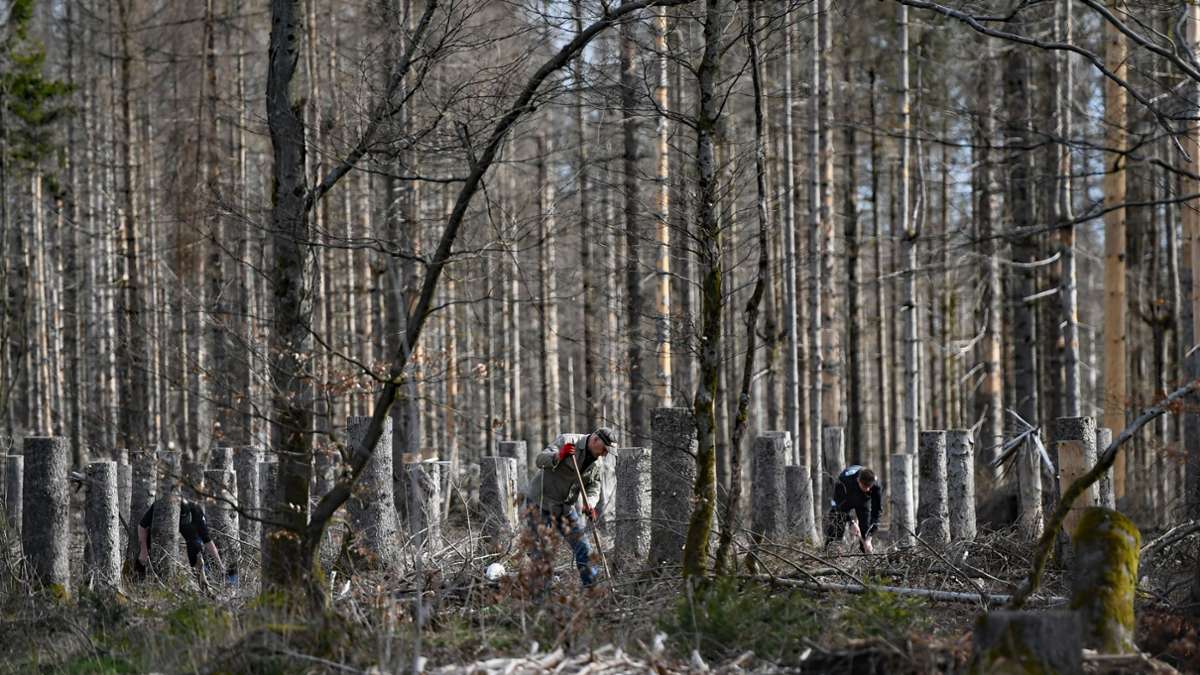 Fehrenbach: Waldarbeit als Katastrophenschutz