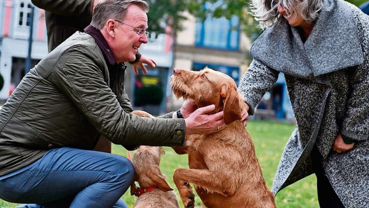 Erfurt: Suchhund Nelli hilft bei Eindämmung der Schweinepest