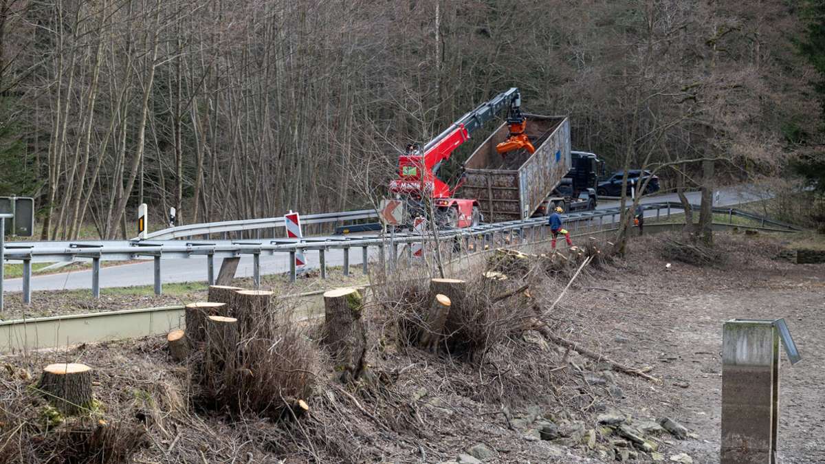 Bei Unterpörlitz: Große Bäume bedrohen Sicherheit des Schwemmteichs