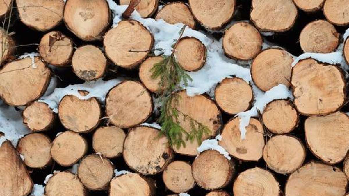Thüringen: Mehr Nadelholz in Thüringens Wäldern gefällt