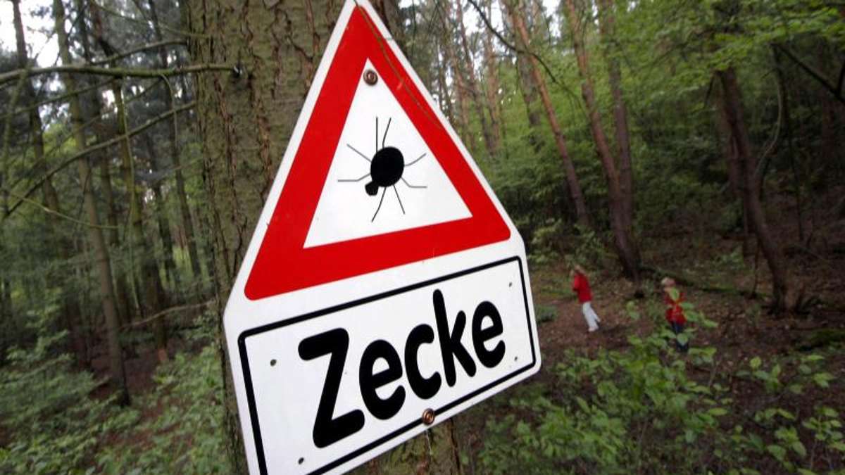Thüringen: Förster warnen: Zecken im Wald verstärkt aktiv