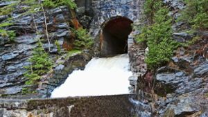 Wasserfall Altenfeld: Altenfeld arbeitet bald mit Wasserkraft