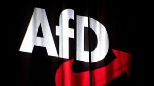 Warum sich die AfD nicht wegdemonstrieren lässt