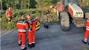 Forstunfall in Steinach: Tod des 16jährigen Rumänen bewegt die Ämter