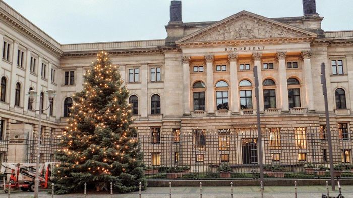Ein Baum vor dem Bundesrat in Berlin