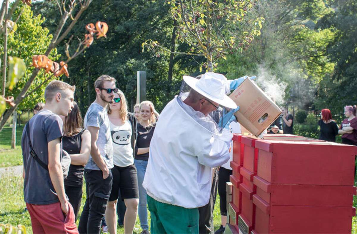 Im Mai 2019 hatte Imker Hans-Peter Kühn aus Floh-Seligenthal drei Bienenstöcke im Viba-Park angesiedelt.