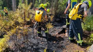 Tatverdächtiger nach Waldbrand ermittelt