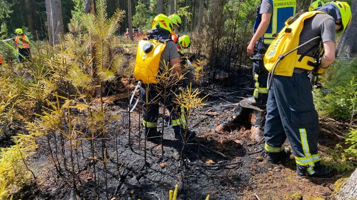 Schmalkalden: Tatverdächtiger nach Waldbrand ermittelt