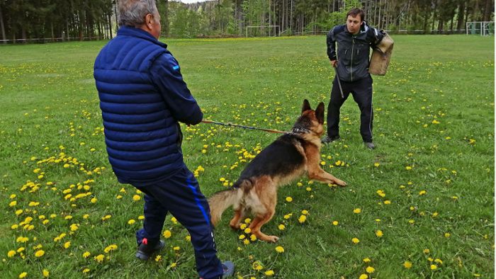 Schäferhundeverein: 200 Hunde und   Leute aus aller Welt