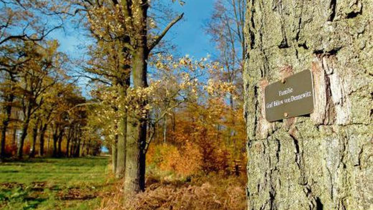 Thüringen: Bestattungswald gefährdet Koalition von CDU und SPD