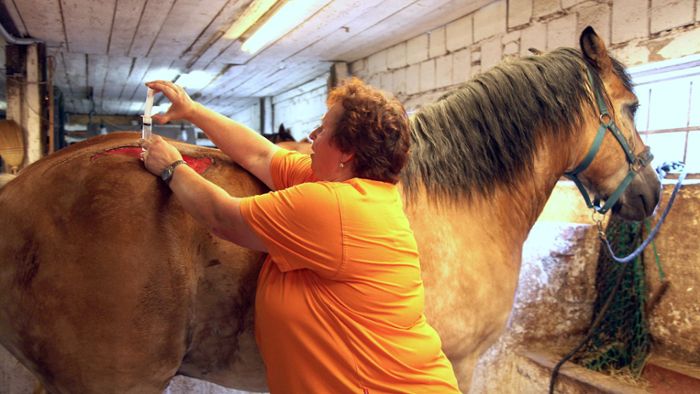 Trusetal: Pferdehofunglück: Spendengeld gerecht verteilt