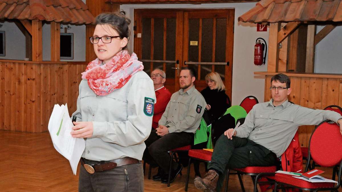 Grabfeld-Nordheim: Witterung bringt Holzernte in Verzug