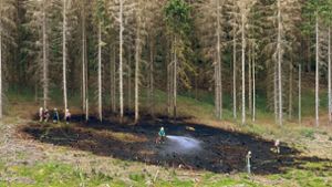 Bad Salzungen: Waldbrand bei Hohleborn