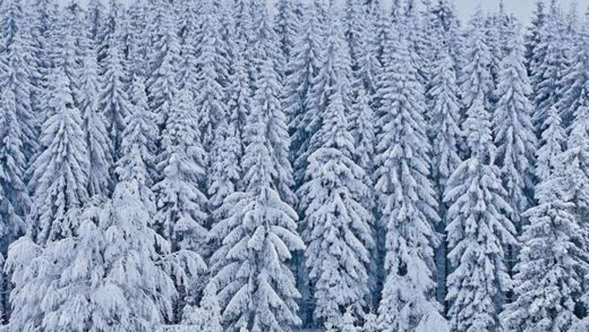 Thüringen: Wenn Winter-Weiß zur Mangelware wird