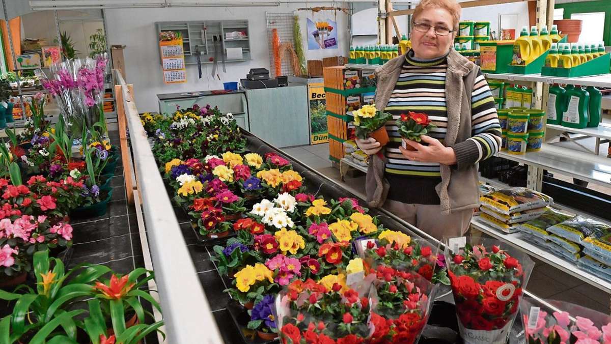 Dietzhausen: Bunte Blumenpracht in der wiedereröffneten Gärtnerei