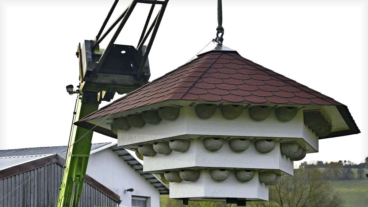 Vogelschutz in Effelder: Hotelbau im Deutschlandtempo