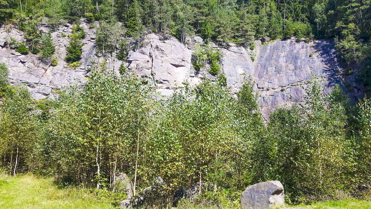 Felsenwand in Ilmenau: Ratssteinbruch  bei Ilmenau wächst zu