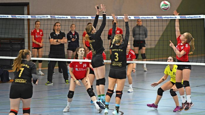 Volleyball: Thüringenliga: Couragierte, aber glücklose Hildburghäuserinnen