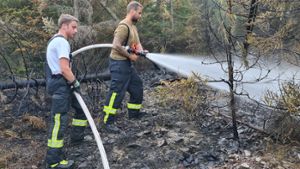 Feuerwehr-Einsatz: Waldbrand bei Neuhaus am Rennweg