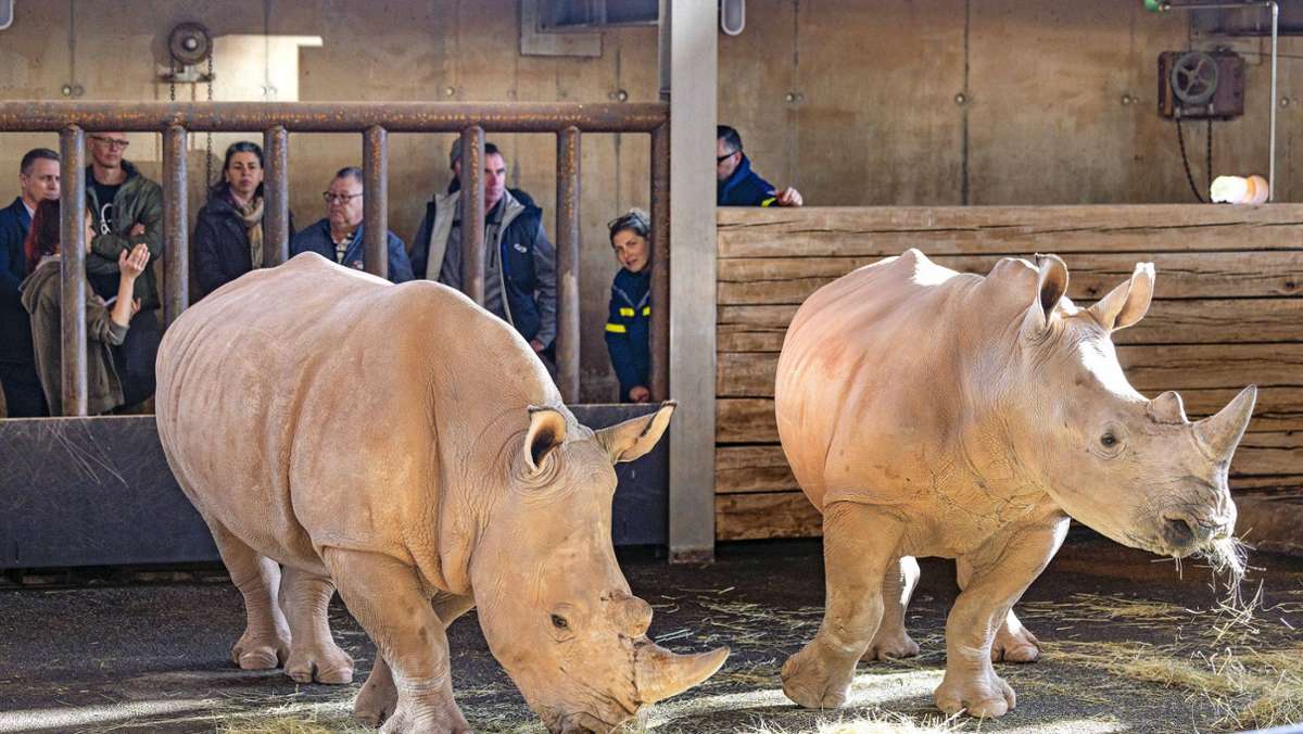 Zoopark Erfurt: Neustart mit Nachtreten
