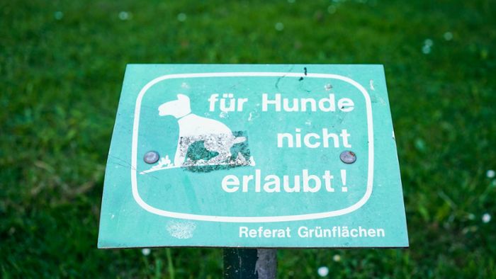 Streit über Hundekot eskaliert in Eisenach 