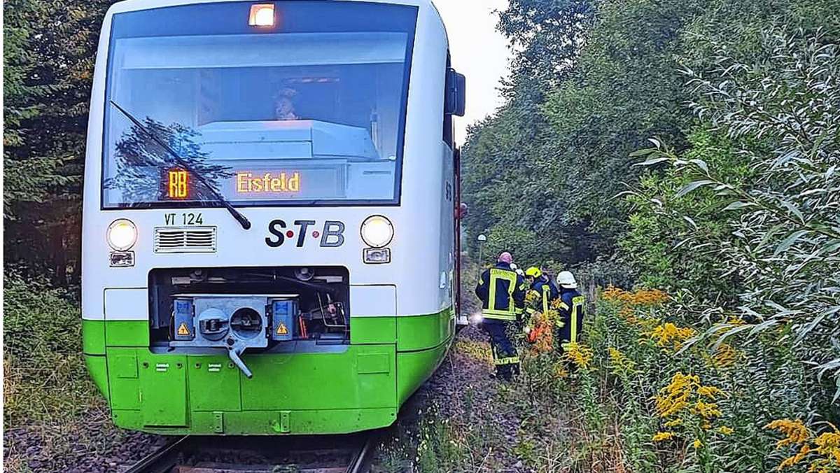 Wildunfall führt zu Verspätungen: Südthüringen-Bahn: Zug kollidiert mit Hirsch