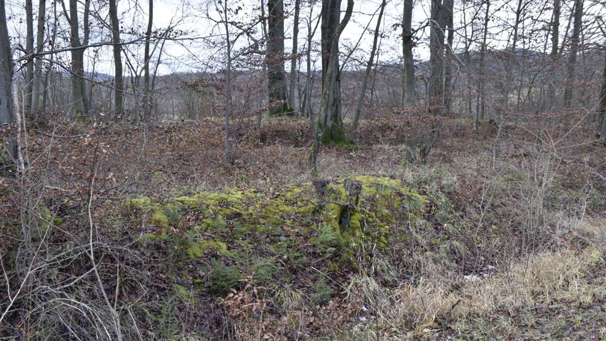 Reste alter Grenzanlagen in der Rhön: Landwehr: Erbstück  aus fehdenreichen Zeiten