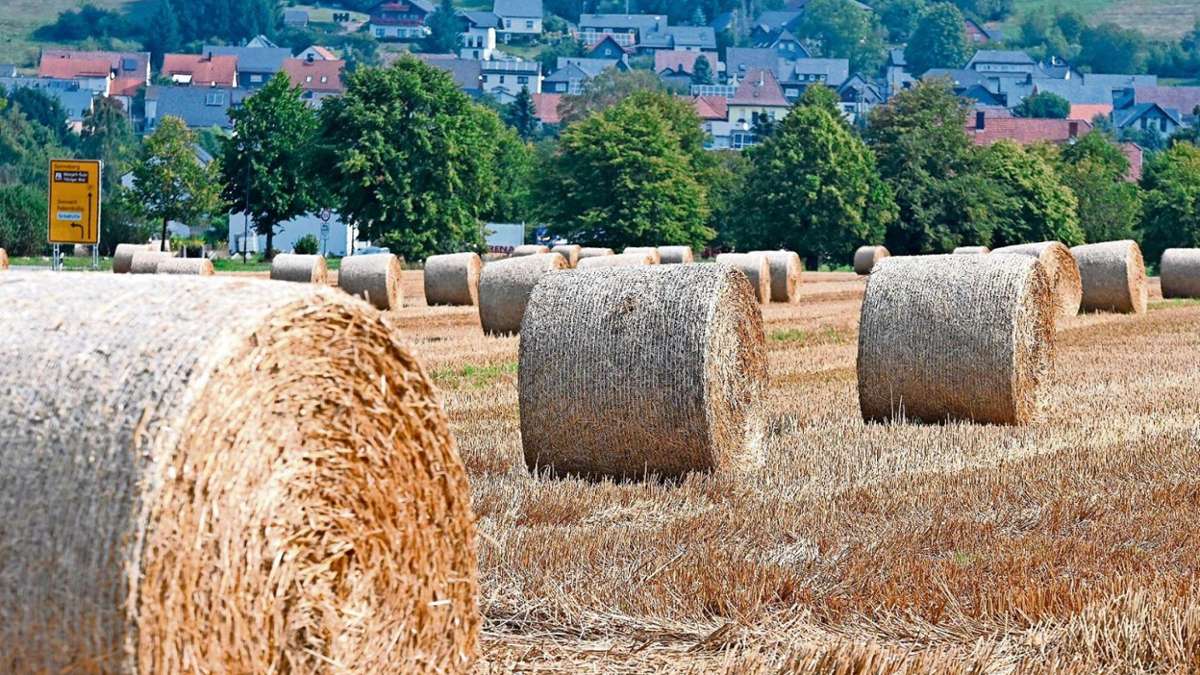 Sonneberg/Neuhaus: Landwirte hoffen auf Herbstregen für die neue Saat