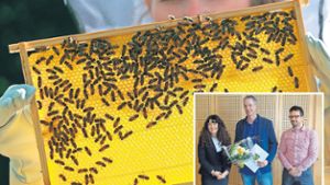 Bienensachverständige vollzählig: Völker legen zu