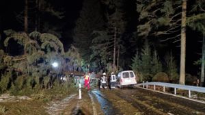Sturm: Baum stürzt auf Auto