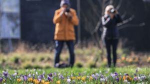Vorhersage: Milder Frühlingsstart in Deutschland
