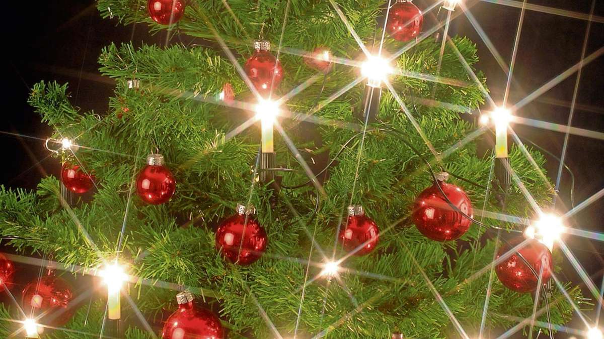 Thüringen: Diese Weihnachtsbäume kommen teuer