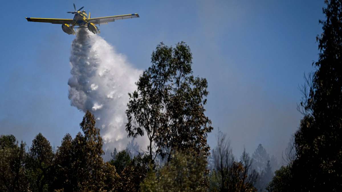 Waldbrände in Portugal: 1400 Menschen in Odemira evakuiert
