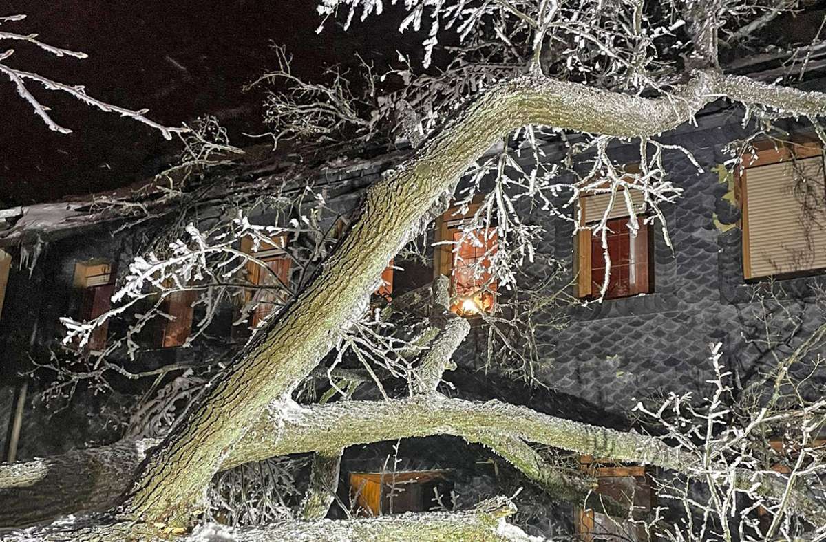 Dieser Baum ist in ein Wohnhaus gestürzt. Neben einem großen Schreck bei den Bewohnern gab es erheblichen Sachschaden.