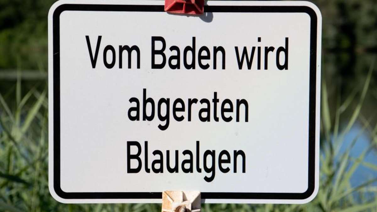Thüringen: Blaualgen in Badeseen in dieser Saison schon frühzeitig