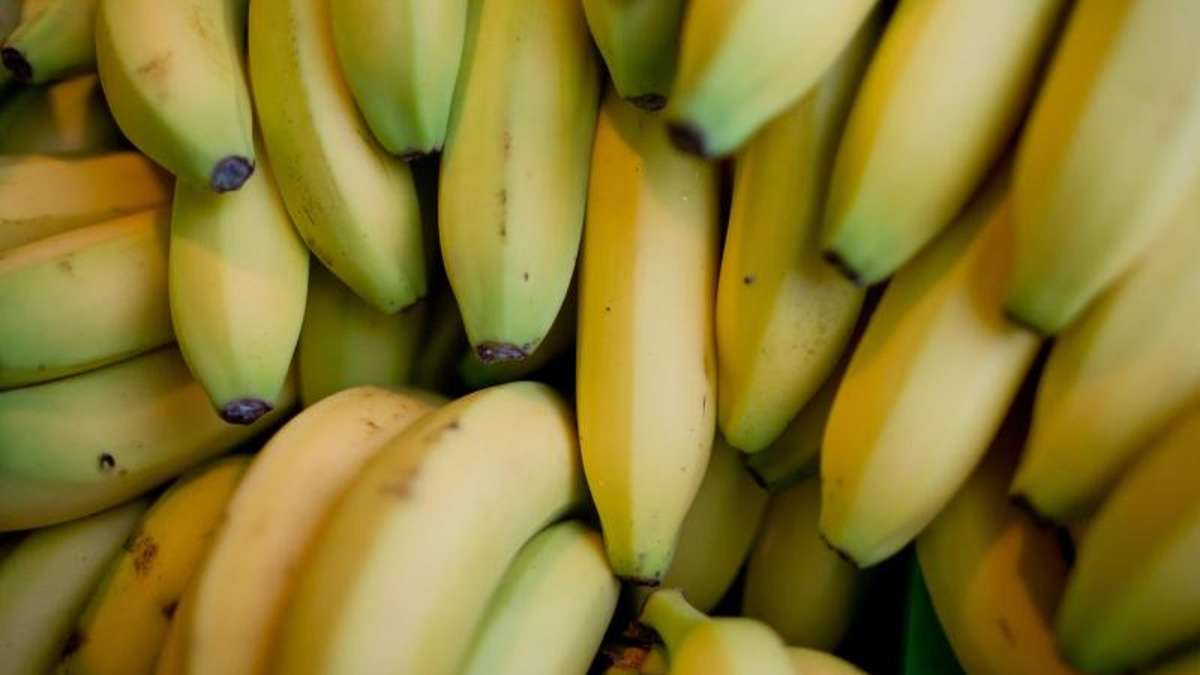 Bad Salzungen: Kurios: Dieb in Bad Salzungen hat Heißhunger auf Banane