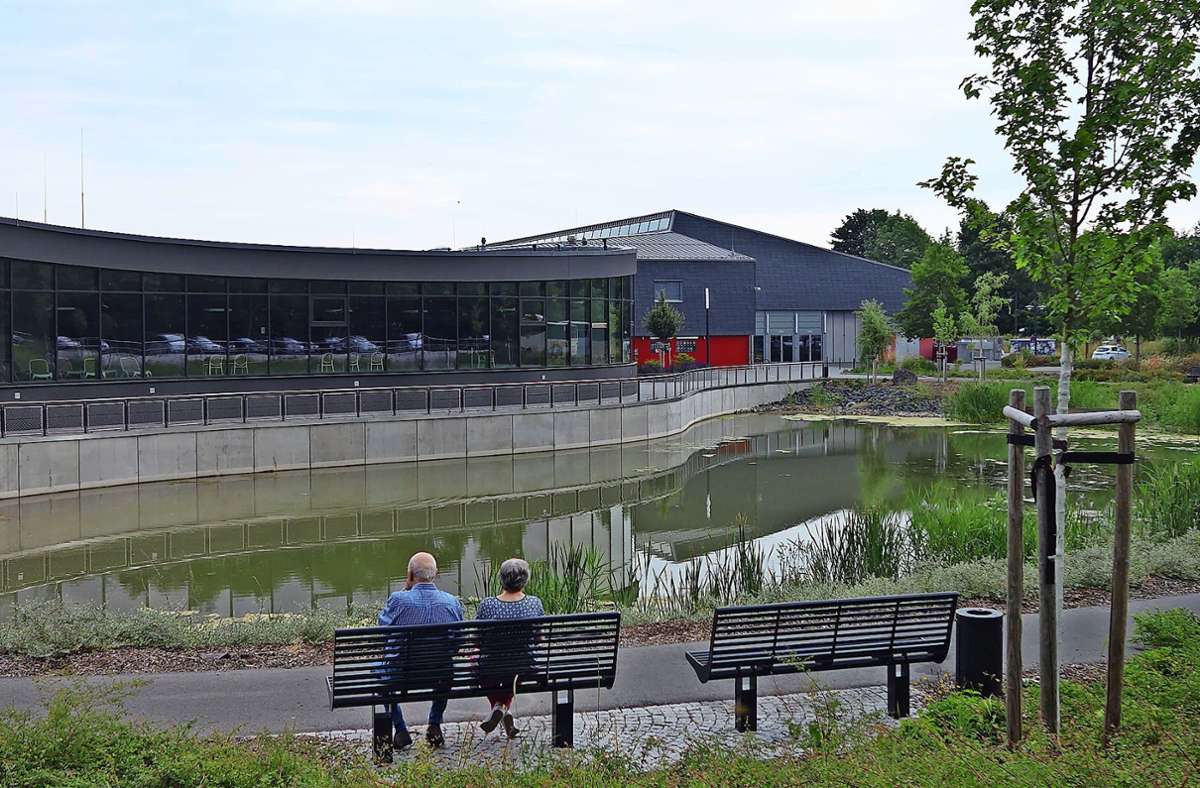 Der Teich hinter der Ilmenauer Eishalle/Schwimmhalle verliert durch die anhaltende Trockenheit mehr und mehr Wasser. Foto: Uwe Appelfeller