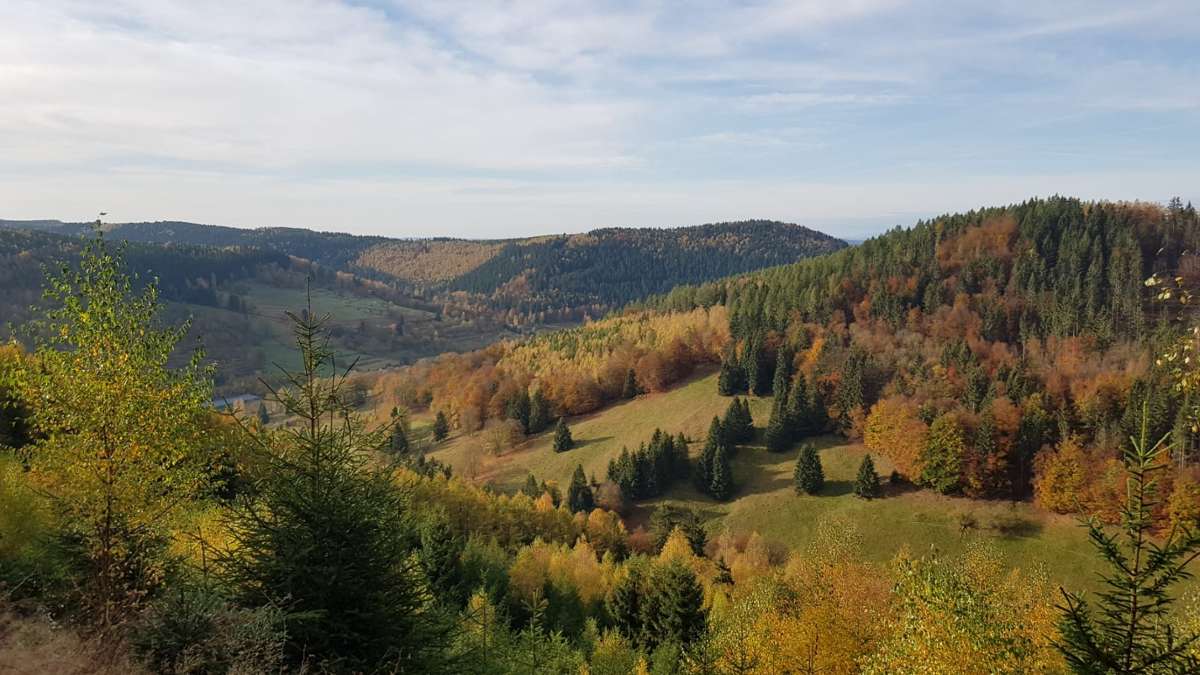 Thüringen: Mildes Herbstwetter bis Wochenende, dann wird es kalt