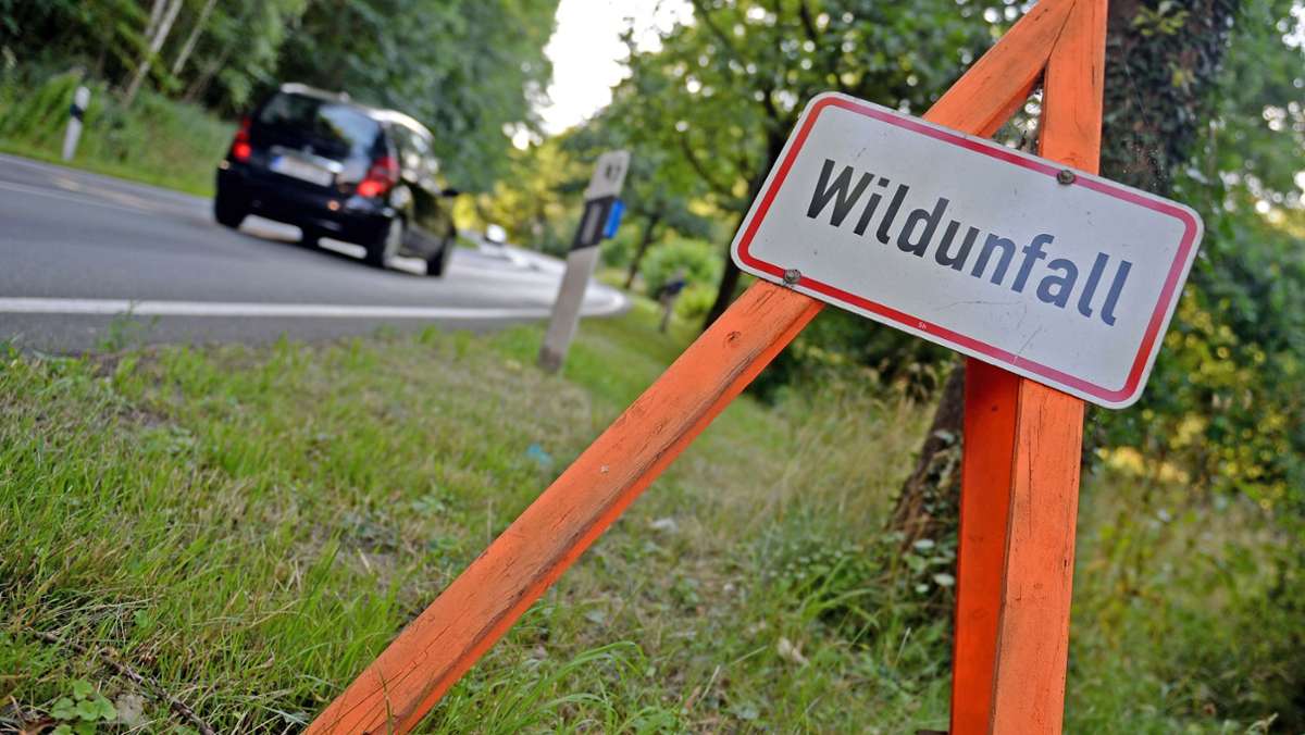 Verkehrsunfall bei Bösleben : Wildschwein gegen Opel