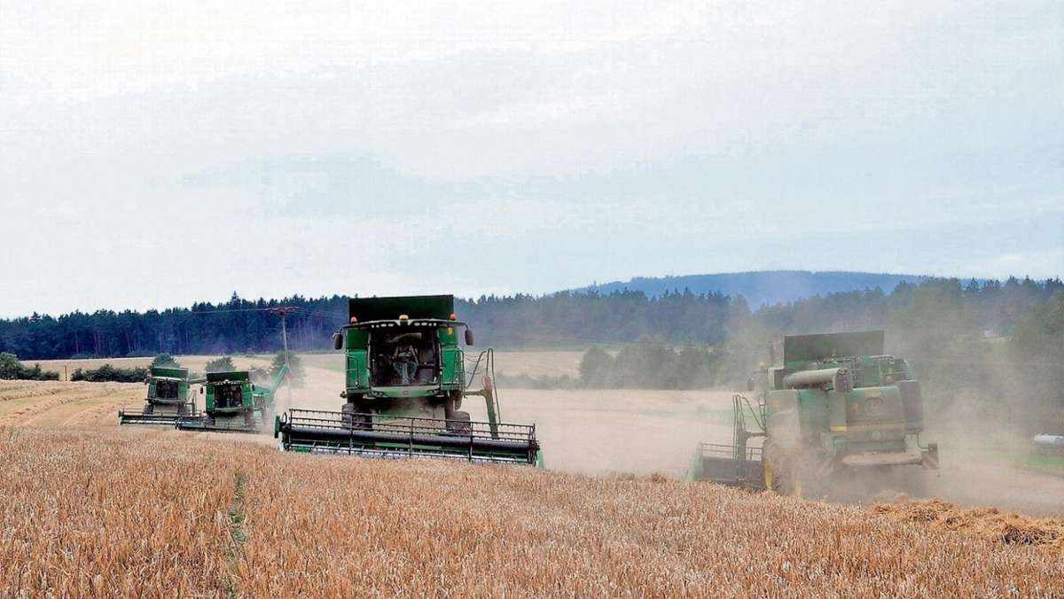 Ilmenau: Die Ernte läuft, Landwirte freuen sich über mehr Milchgeld