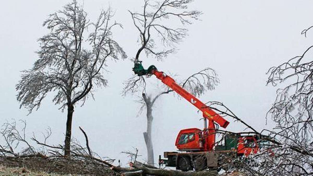 Bad Salzungen: Vereiste Bäume müssen weichen